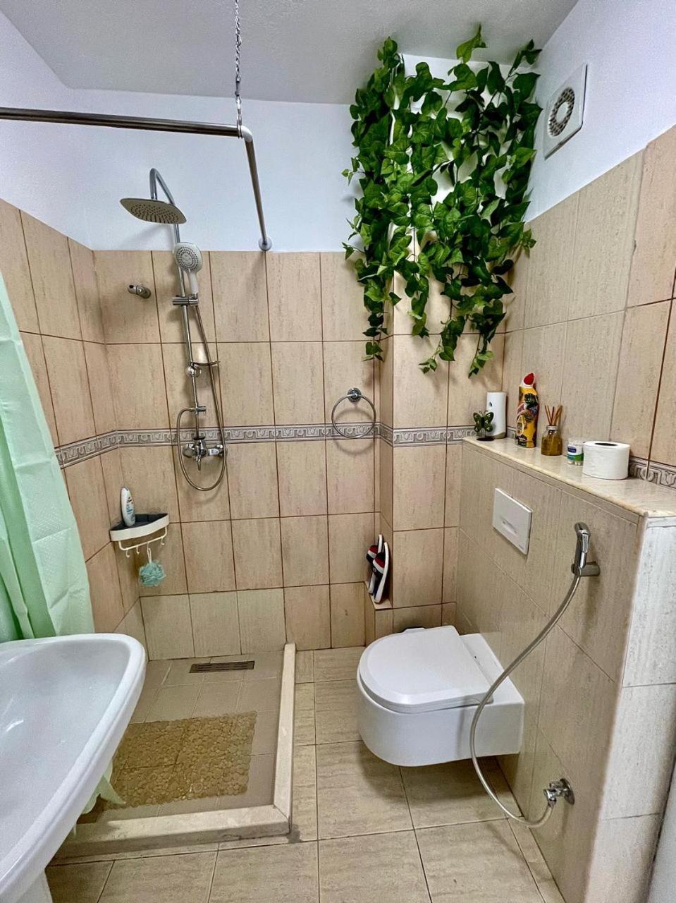 Flex Apartment